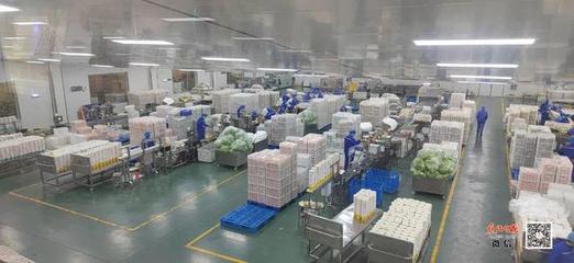 孟州市大定街道 踔厲奮發新征程，勇毅前行著華章——食品生產高質量發展之路